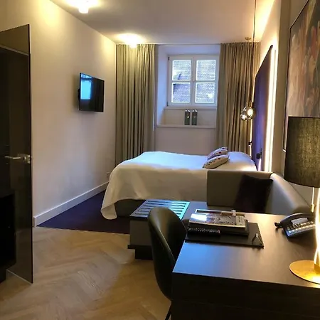 Bischofshof Am Dom 4* ريغنسبورغ